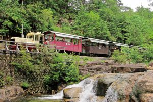 新緑の中を走る赤笹森林鉄道