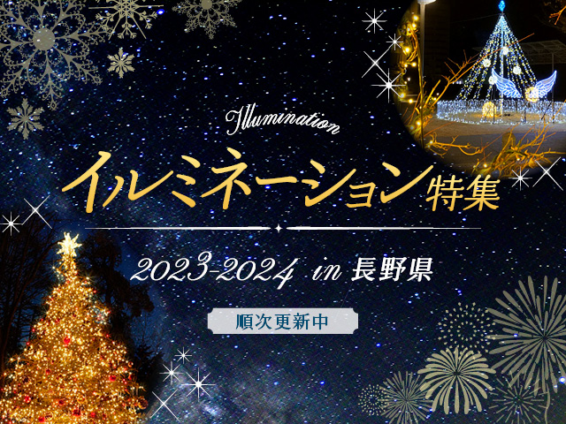 2023-2024 イルミネーション