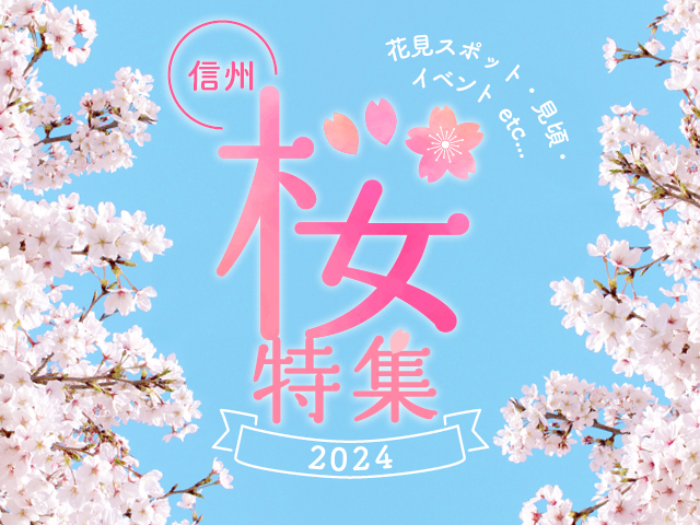 桜特集2024