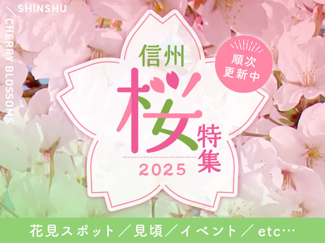 2025さくら特集