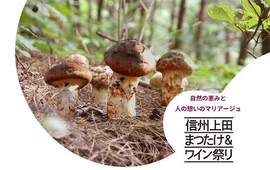 『信州上田まつたけ&ワイン祭り2025』