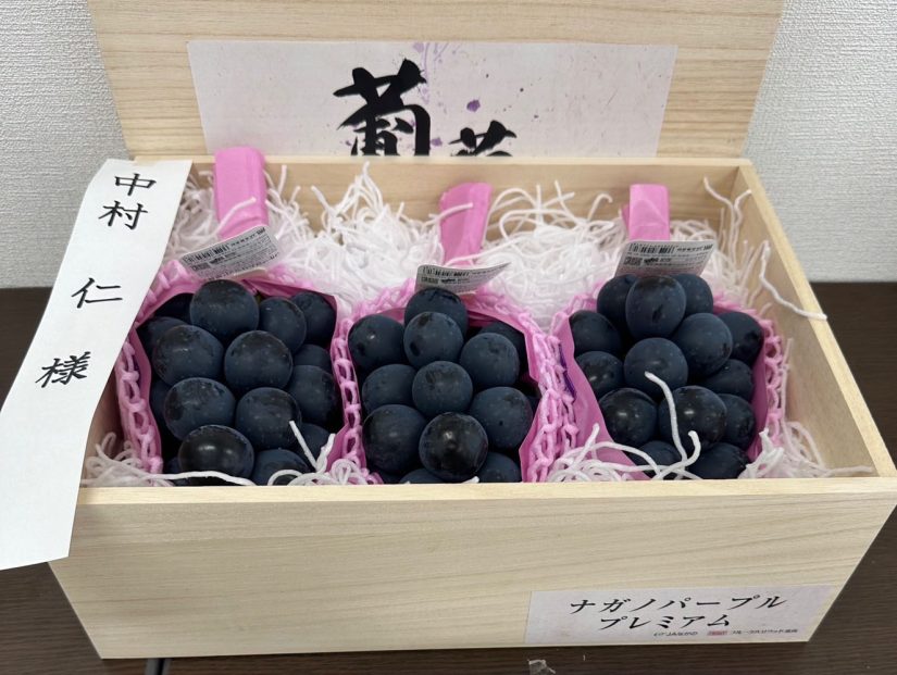 中村農園 贈答用ぶどう