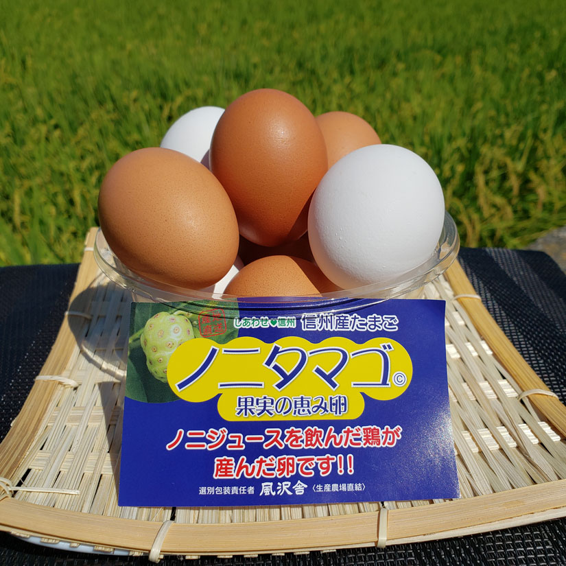 長野県松本発！「信州ノニタマゴ」の魅力とは？大切な人に「安心」して