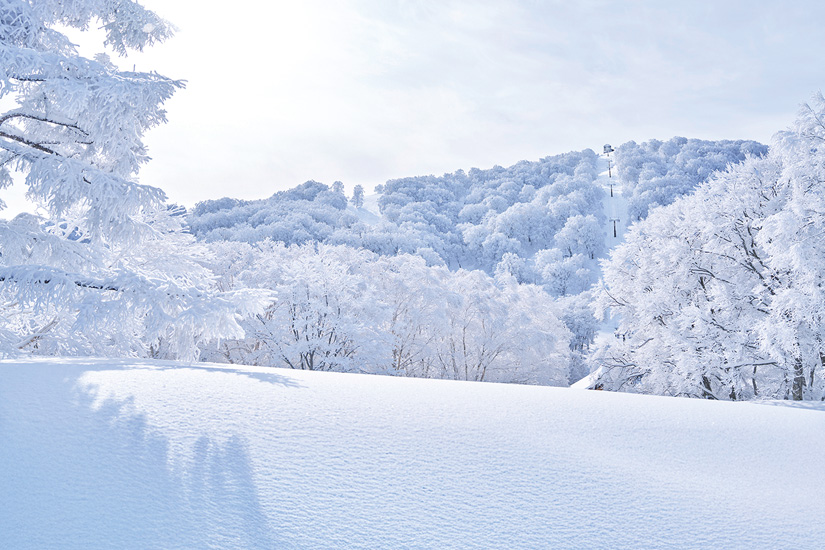 野沢温泉スキー場のパウダースノー
