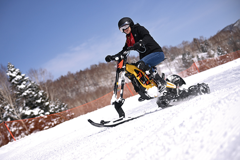e-SNOW BIKE