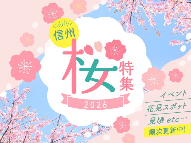 桜特集2026