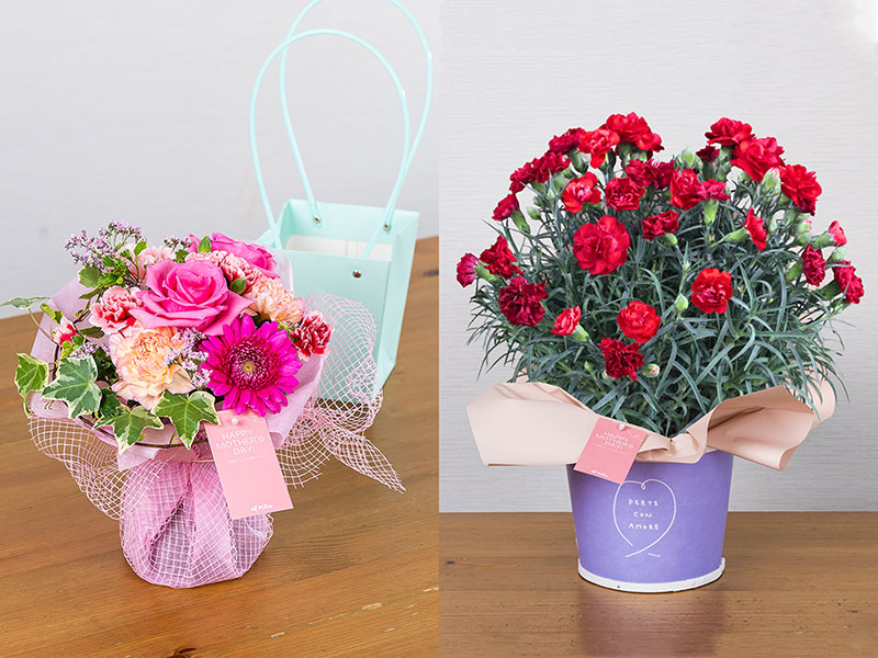 ヌボーラルブル 商品画像