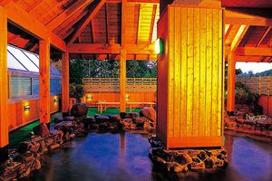 蓼科温泉郷の日帰り温泉-蓼科東急スパリゾート鹿山の湯