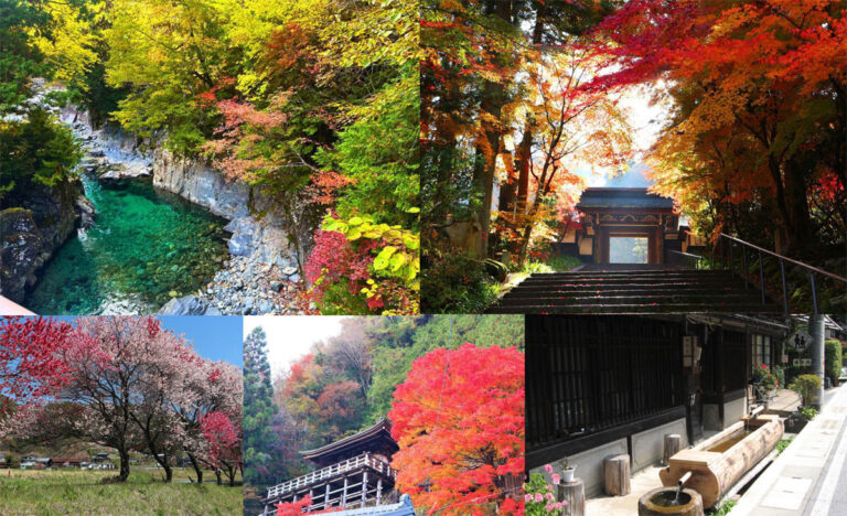 ★長野県77大桑村おすすめ観光-阿寺渓