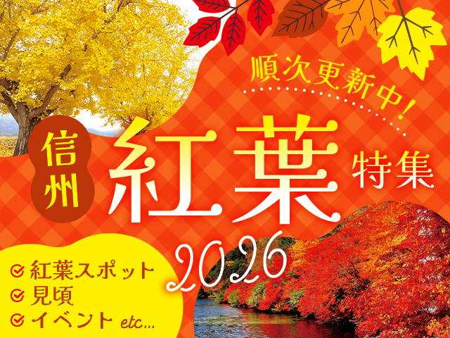 紅葉特集2026