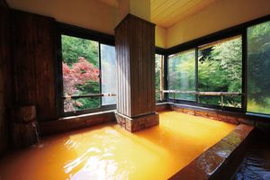茅野市77-秘湯-明治温泉